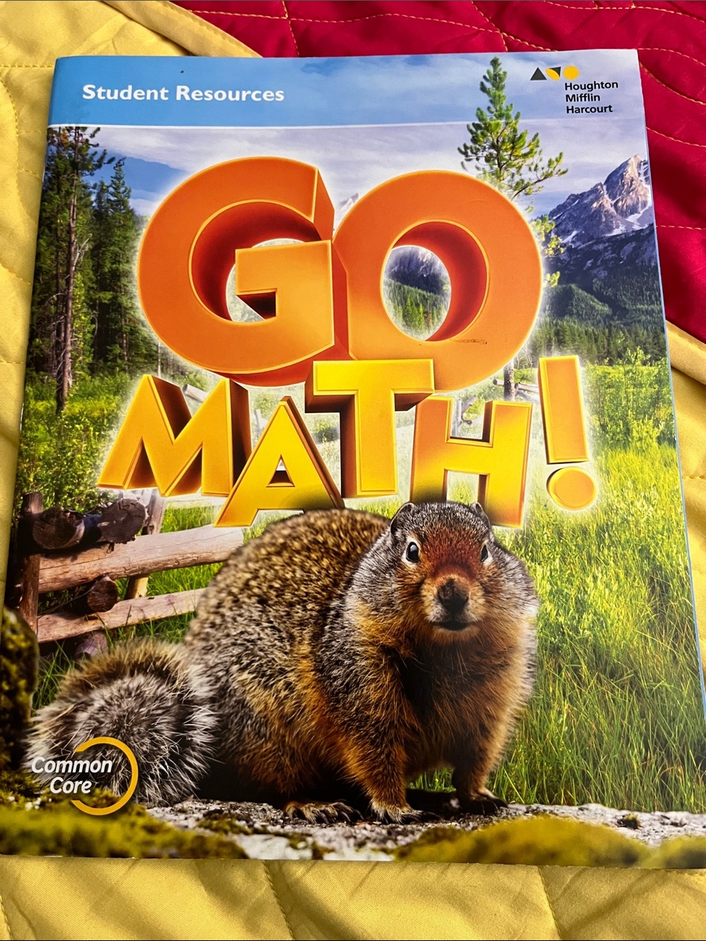 GO MATH- 4th grade STUDENT RESOURCES book